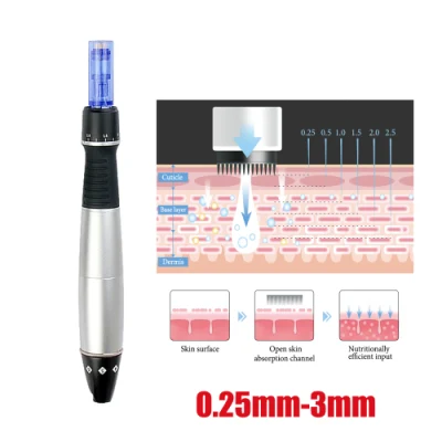 Elektronischer Nano/Stahl-Mikronadel-Dermapen, automatischer Stempel, motorisierter Meso-Derma-Roller Dre80